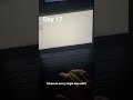 Day 17 - checking moasure #tools #tech ##floorplans