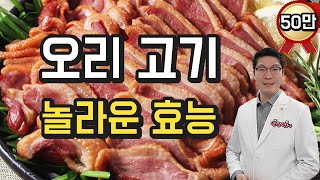 오리고기 - 놀라운 효능, 건강에 좋은 이유 바로 이것 입니다.