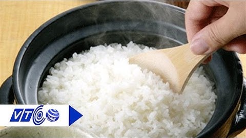 Tuyệt chiêu giữ cơm không thiu ngày hè | VTC