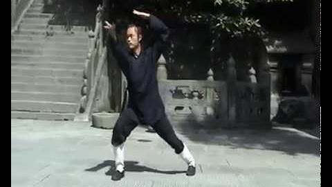 太乙五行拳 - Taiyi 5 Elements Fist