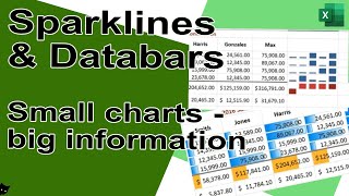 Let your data tell a story with mini graphs right in the spreadsheet (Sparklines & Data Bars).