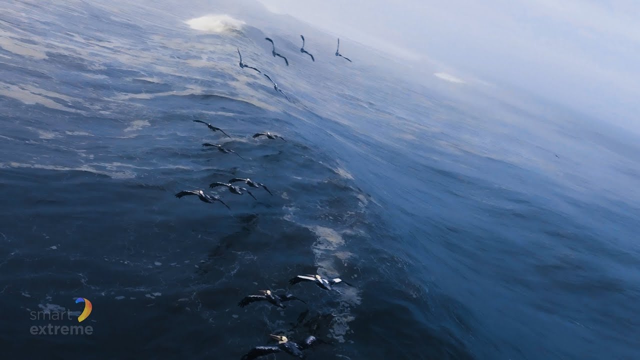 Milkshake #10 -  Peru 2025 Kite Trip Teaser