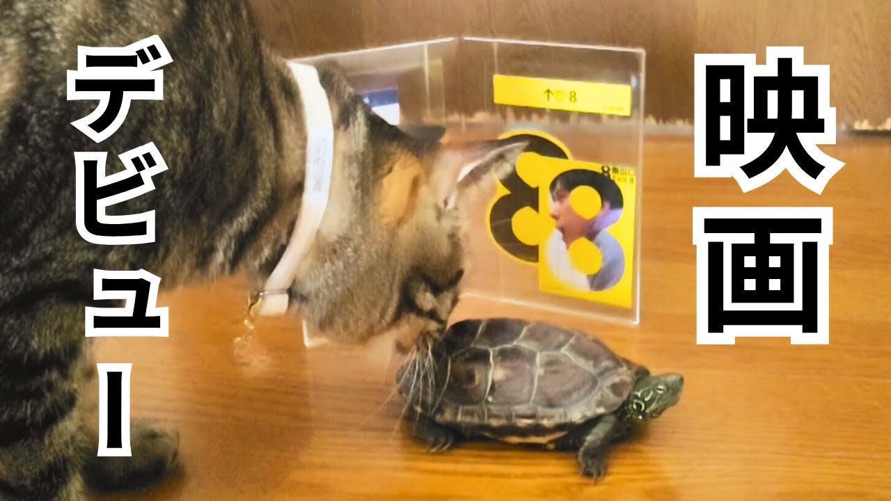 祝🎉映画デビュー！『8番出口』にもなちゃんが出演しました