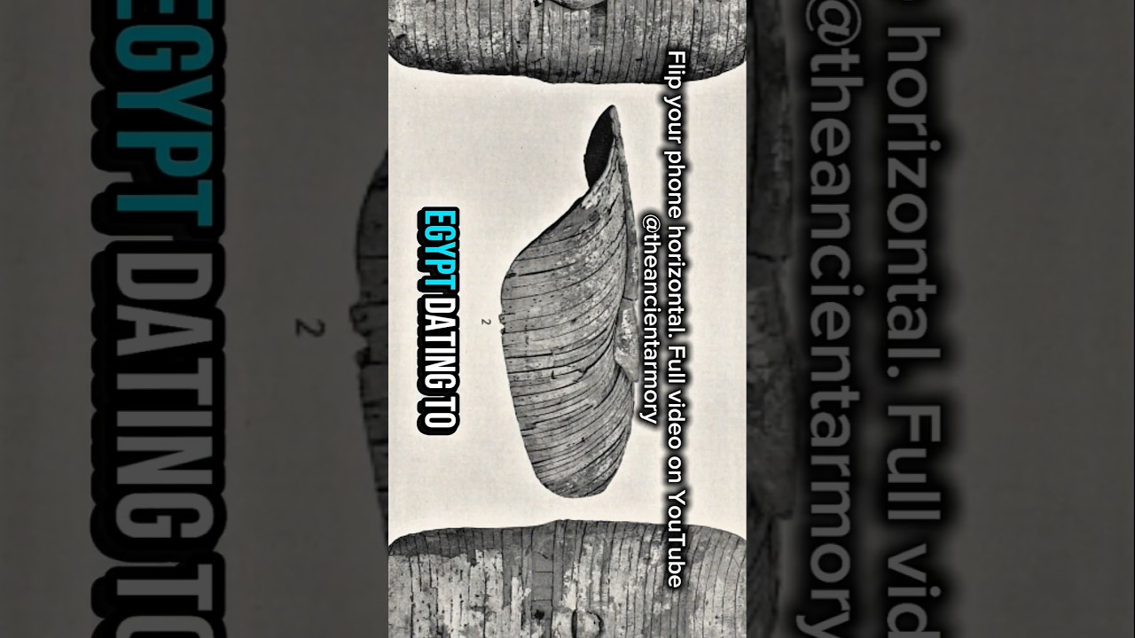 Let's talk about the history of plywood in ancient shields!#roman #greek #history #shield #classics