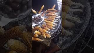 hausa