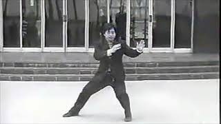 Chen Xiao Xing - Tai Chi style Chen Xinjia Yilu 1986 [陈氏太极拳新架 Taijiquan style Chen]