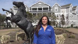Video Tour - C129 The Black Stallion