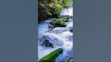 قرآن كريم القارئ ناصر القطامي من سورة (ص)