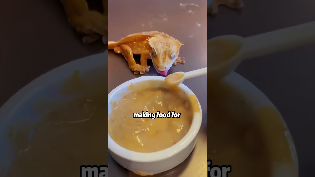 Premature lizard baby 