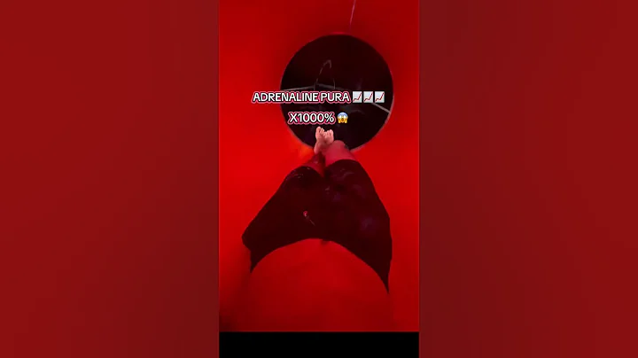 Đường trượt không dành cho người yếu tim 💔 cảm giác mạnh x1000% 📈 VinWonders Phú Quốc
