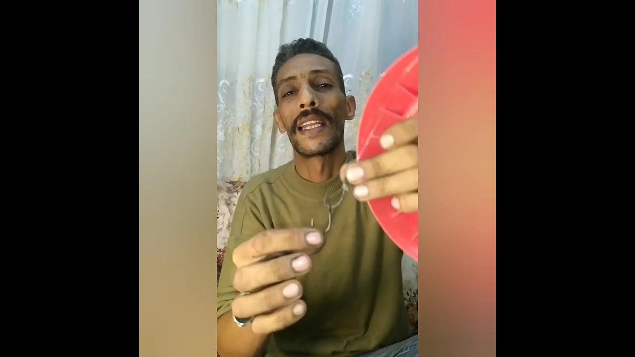 الصيد بالطعم الحي (اللنسه) واهم اسرار نجاحها