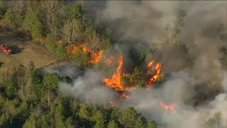 Wildfire burns through Burlington County, NJ