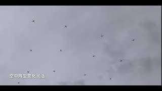 Swarm UAV network attack AI autonomous command #Automatic AI Calculation + Weapon Platform System 