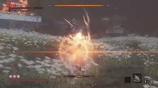 DAY 17 of NO-HITTING INNER ISSHIN until FromSoft releases Sekiro2