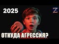 Почему ваш ребенок агрессивный? Географ объясняет | Психология 2025