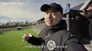 首发评测！腾龙16-30mm F2.8 VXD G2 开箱｜索尼E｜尼康Z｜画质深测｜索尼E｜尼康Z｜超广角