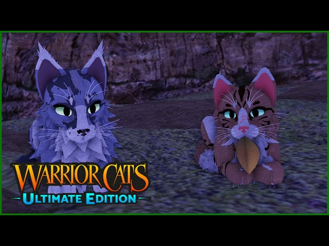 Hawkkz #1 owlnose fan on X: ROUND 2 BABY LET'S GOOO who's the strongest Warrior  Cats villain?? #warriorcats    / X