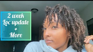 2 Week Starter Loc Update | Loc Journey | Maintenance + More #locs #locjourney
