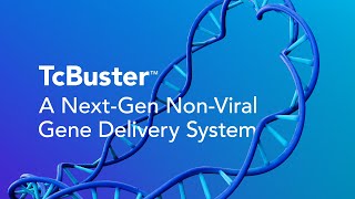 TcBuster(TM) - A next-generation non-viral gene delivery system