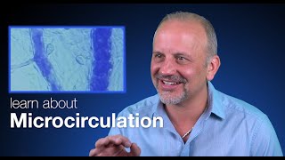 Microcirculation