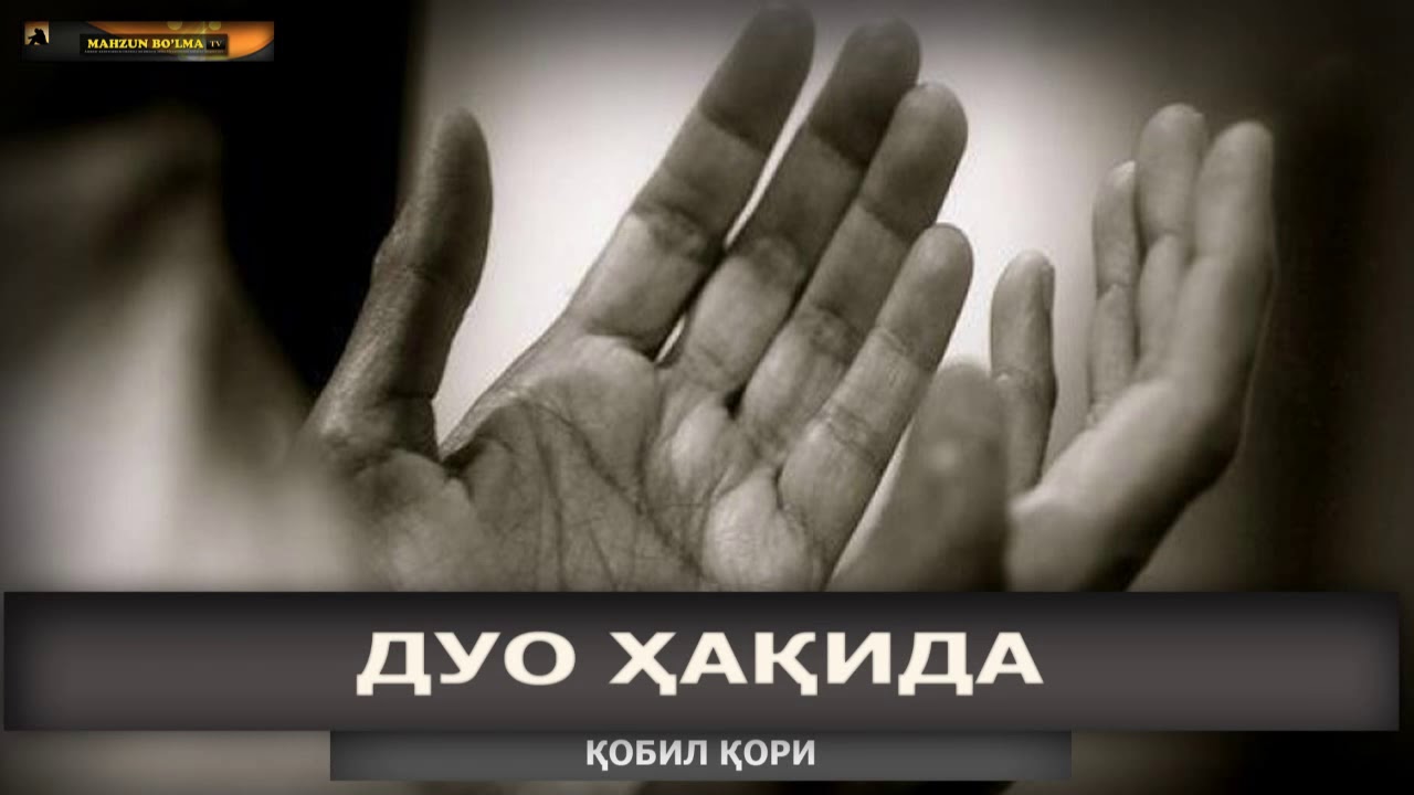 DUO FAZILATI - Qobil qori || Кобил кори - Дуо фазилати