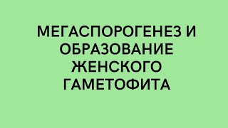 Мегаспорогенез и образование женского гаметофита