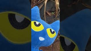 Check Out the Dole Plantation in Hawaii with PETE THE CAT and Noah Part 3 #doleplantation