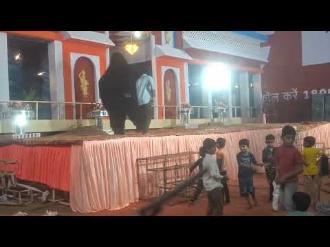 भालू स्पेशल // झांकी की कलाकारी