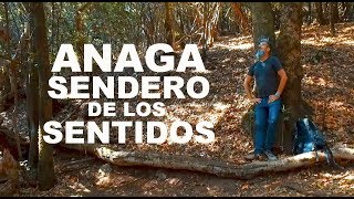 QUÉ HACER EN TENERIFE ANAGA, Sendero de los Sentidos Pico del Inglés ¡Qué Gran Viaje! Lee de Caires