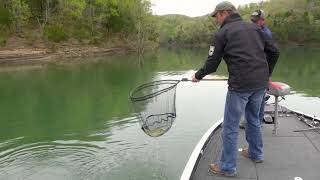 Lake Cumberland Bass with Nathan Brooks