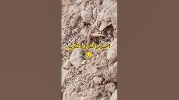 احترم القرآن الكريم #اكسبلور #المصحف #لايك #الرحمن