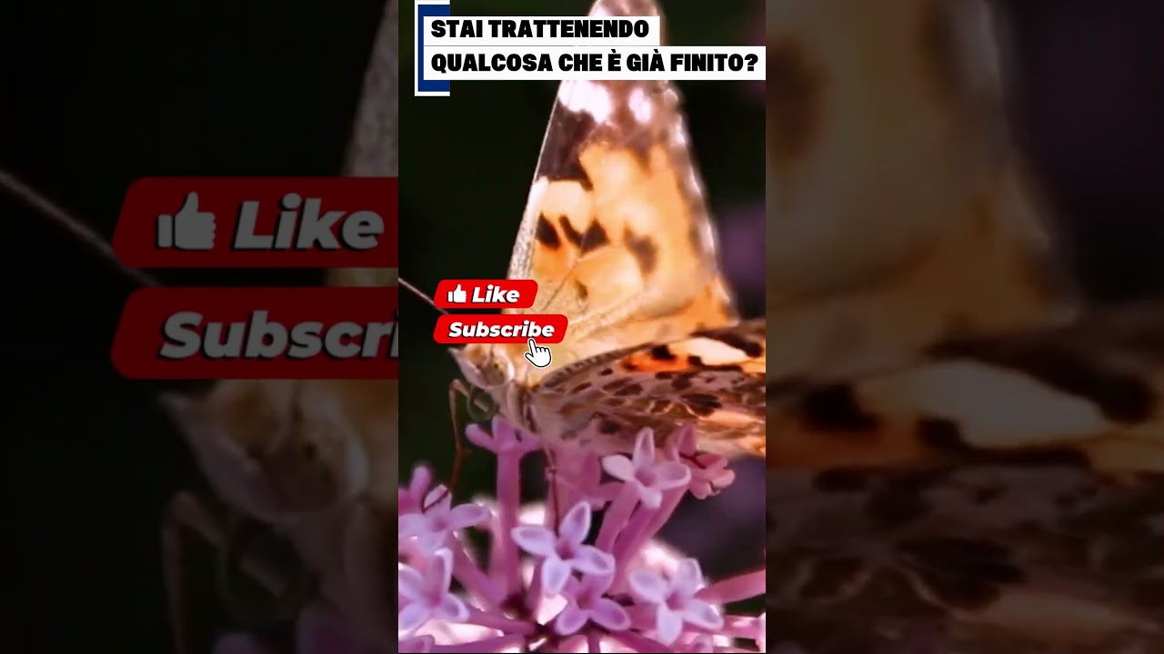 🚨 STAI TRATTENENDO QUALCOSA CHE È GIÀ FINITO? 🔮