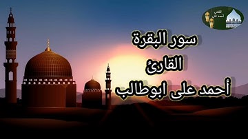 تلاوة سورة البقرة الربع السابع عشر (تِلْكَ الرُّسُلُ فَضَّلْنَا بَعْضَهُمْ عَلَىٰ بَعْضٍ)