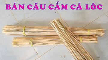 BÁN CẦN CÂU CẮM CÁ LÓC, cần chưa tóm lưỡi giá rẻ, đầy đủ kích cỡ