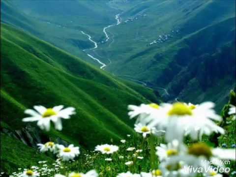 Haydar Haydar Fon Müziği