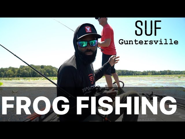 Ultimate Frog Review: 14 Frogs Compared! (Frog Fishing Tips For Summer Bass  Fishing) 