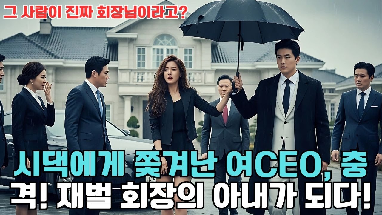 시댁에게 쫓겨난 여CEO, 충격! 재벌 회장의 아내가 되다!