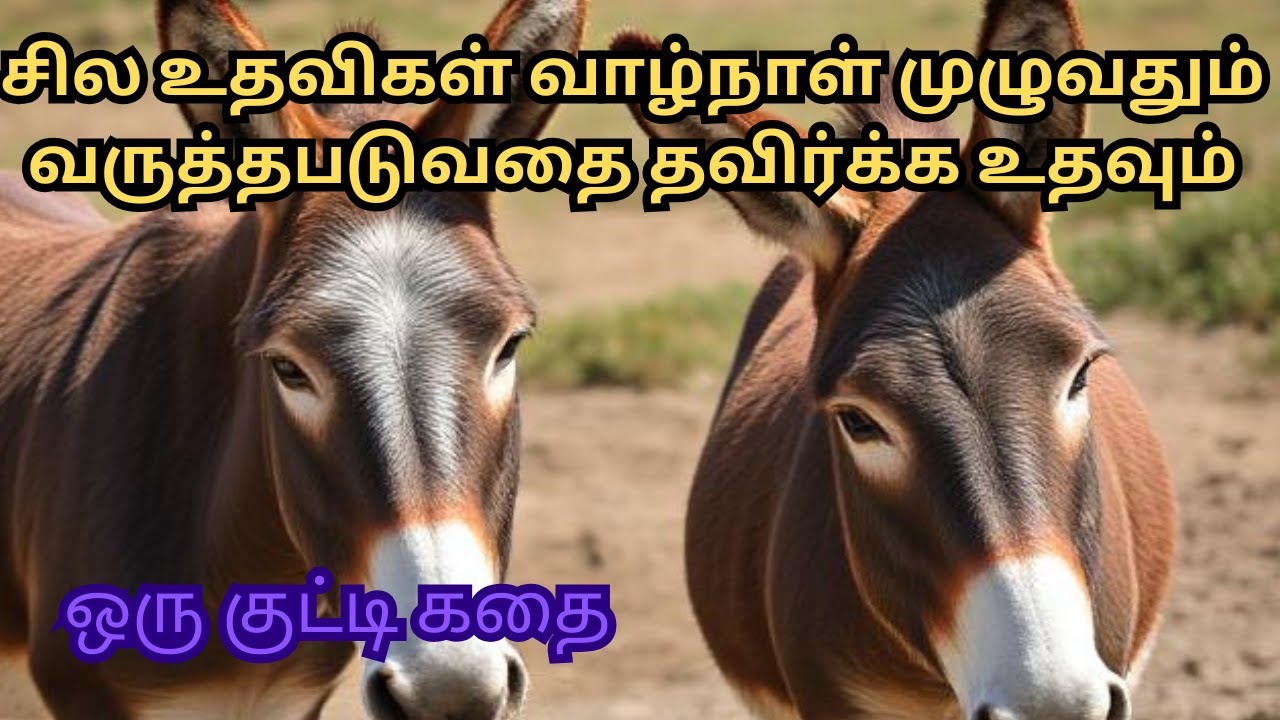 The shocking truth about life long Regrets and feeling Story