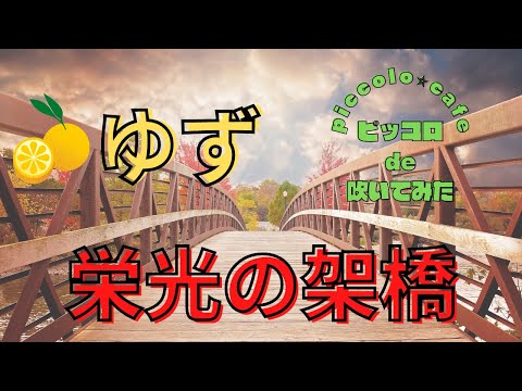 【ピッコロ】栄光の架橋／ゆず【演奏してみた】