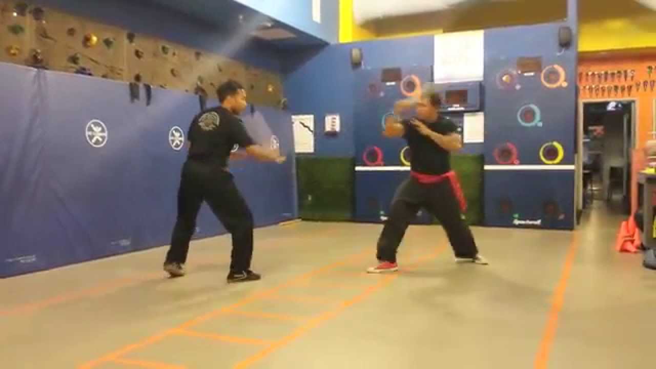 Pithecophaga Jefferyi