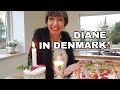 🇩🇰 Diane's Danish Christmas - 1 December (we have liftoff!)