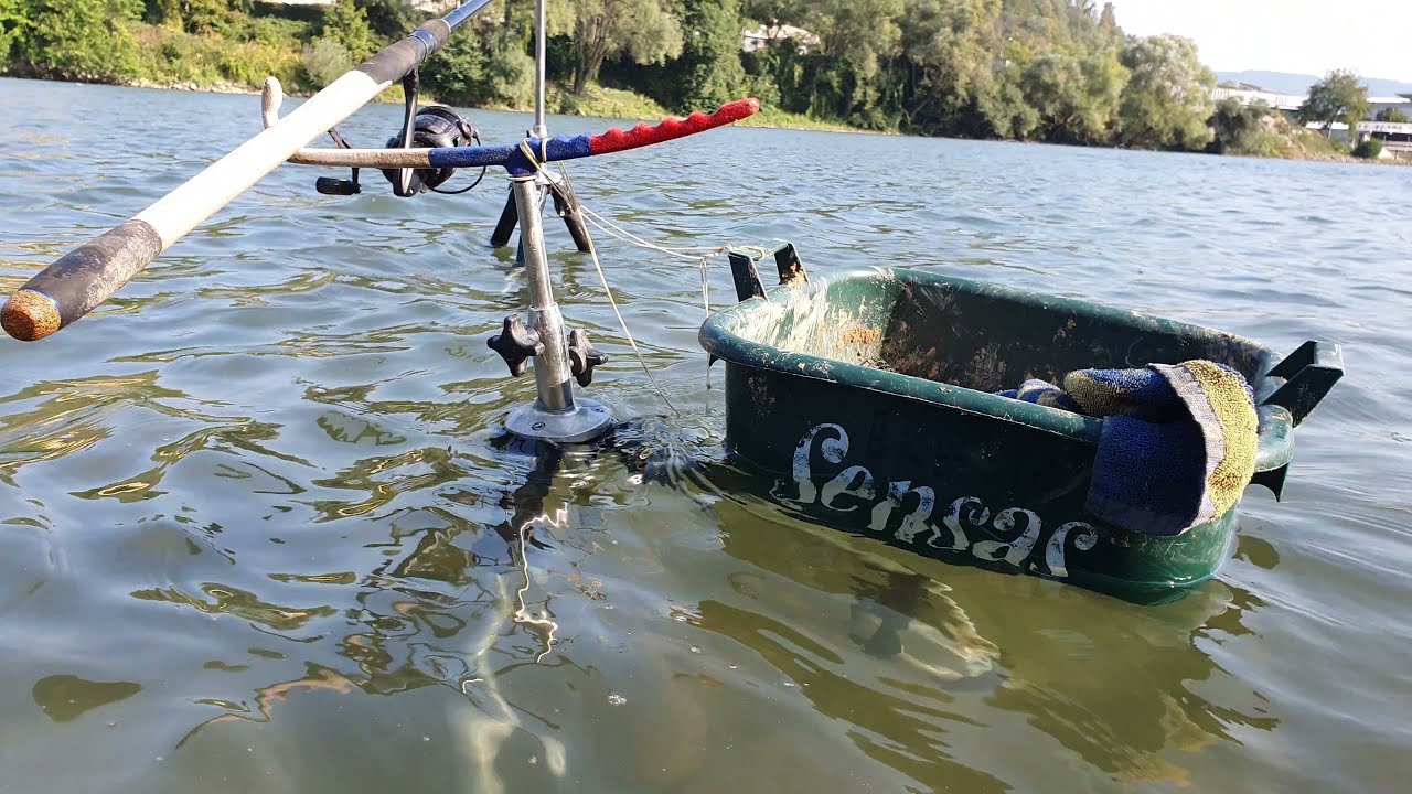 Pecanje na Drini - Plotica / Skobalj