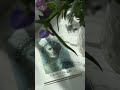 9 червня 2026 р.