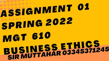 MGT 610 Assignment 01 Solution Spring 2022