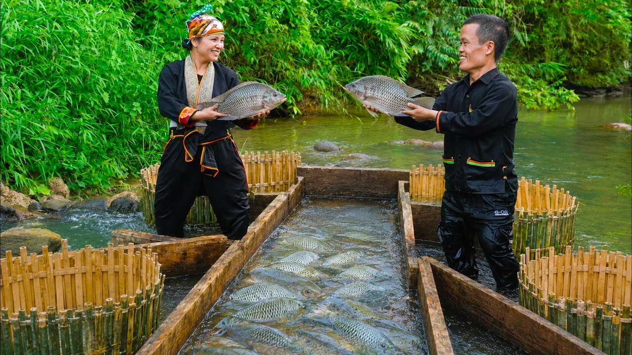 Dwarf Family Builds a Stream Fish Trap from Bamboo and Wooden Planks ...
