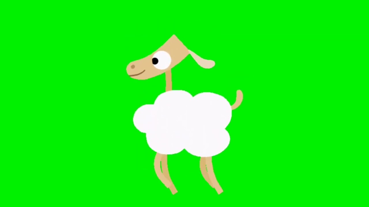 (1 Minute Loop) Animanimals - Sheep Walking Cycle In Green Screen