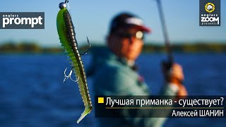 видео: Лучшая приманка — существует? Алексей Шанин. Anglers Prompt картинка: Лучшая приманка — существует? Алексей Шанин. Anglers Prompt