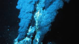 Chemoautotrophy | Wikipedia audio article