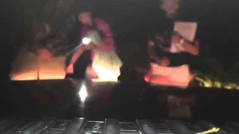 The Return of Jennette.