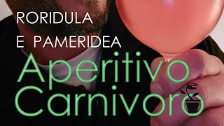 APERITIVO CARNIVORO : RORIDULA E PAMERIDEA